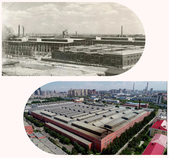 Z6·人生就是博(中国区)官方网站