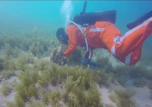 7510E92F397F7260572B07FD9E8_F1181D27_1C338